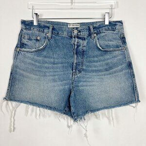 Free People We The Free High Rise Shorts Women's Size 31 Button Fly Frayed Hem